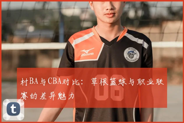 村BA与CBA对比：草根篮球与职业联赛的差异魅力