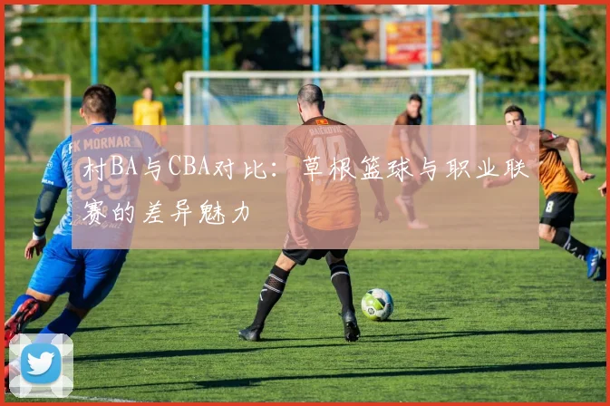 村BA与CBA对比:草根篮球与职业联赛的差异魅力
